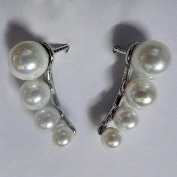 Orecchini in argento 925
