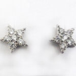 Orecchini in argento 925 - Anallergici - Stella